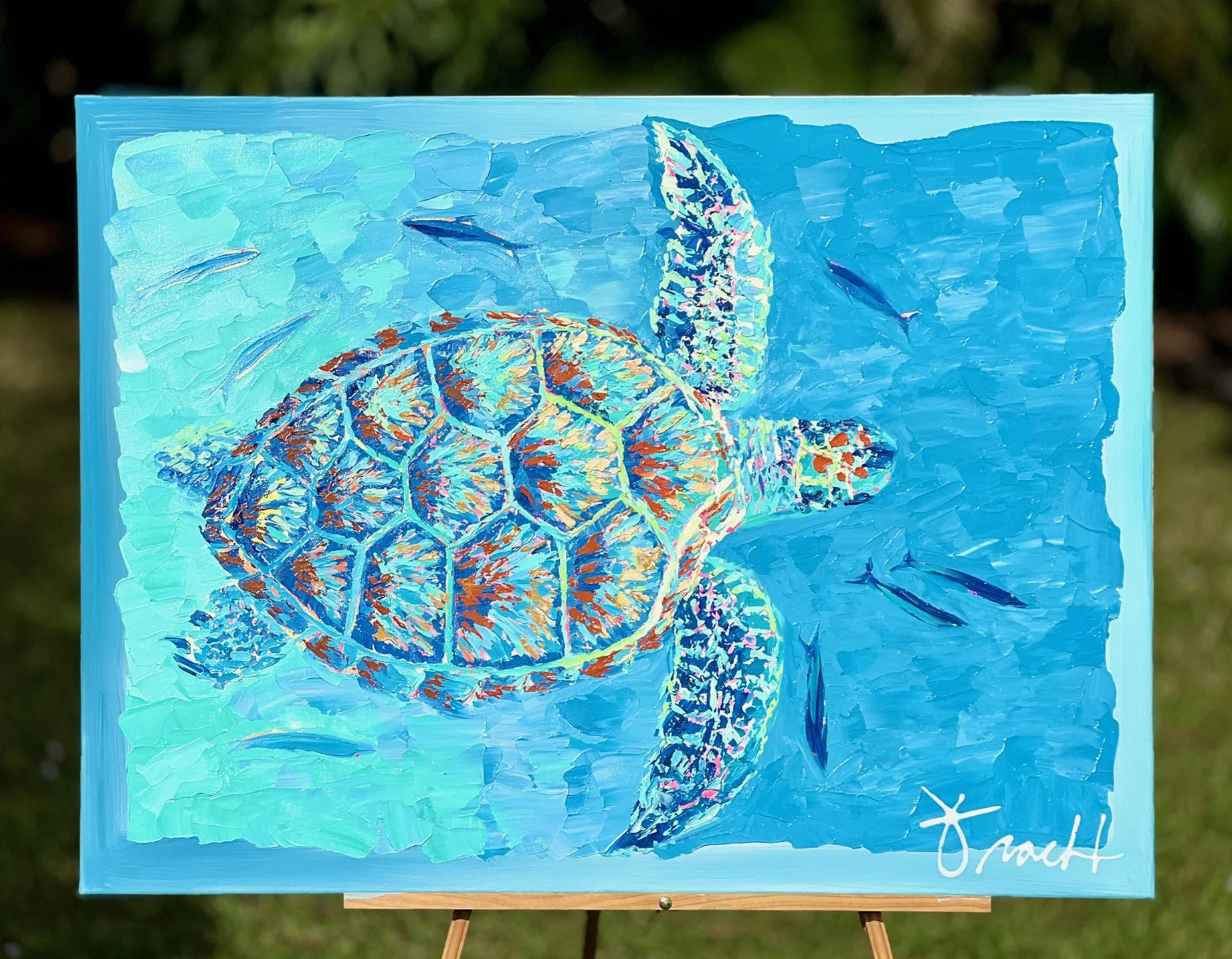 Crusin+Sea+Turtle+-+Front+View